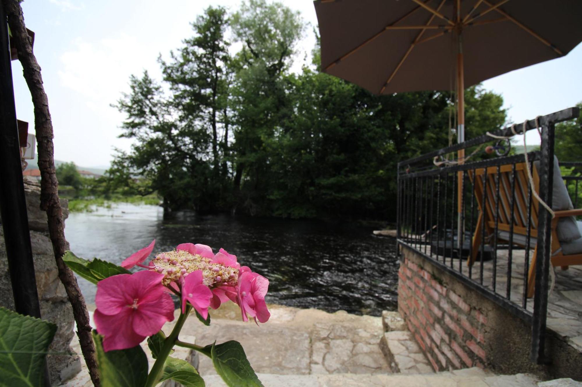 Villa Hotri House On The River Island Ripac